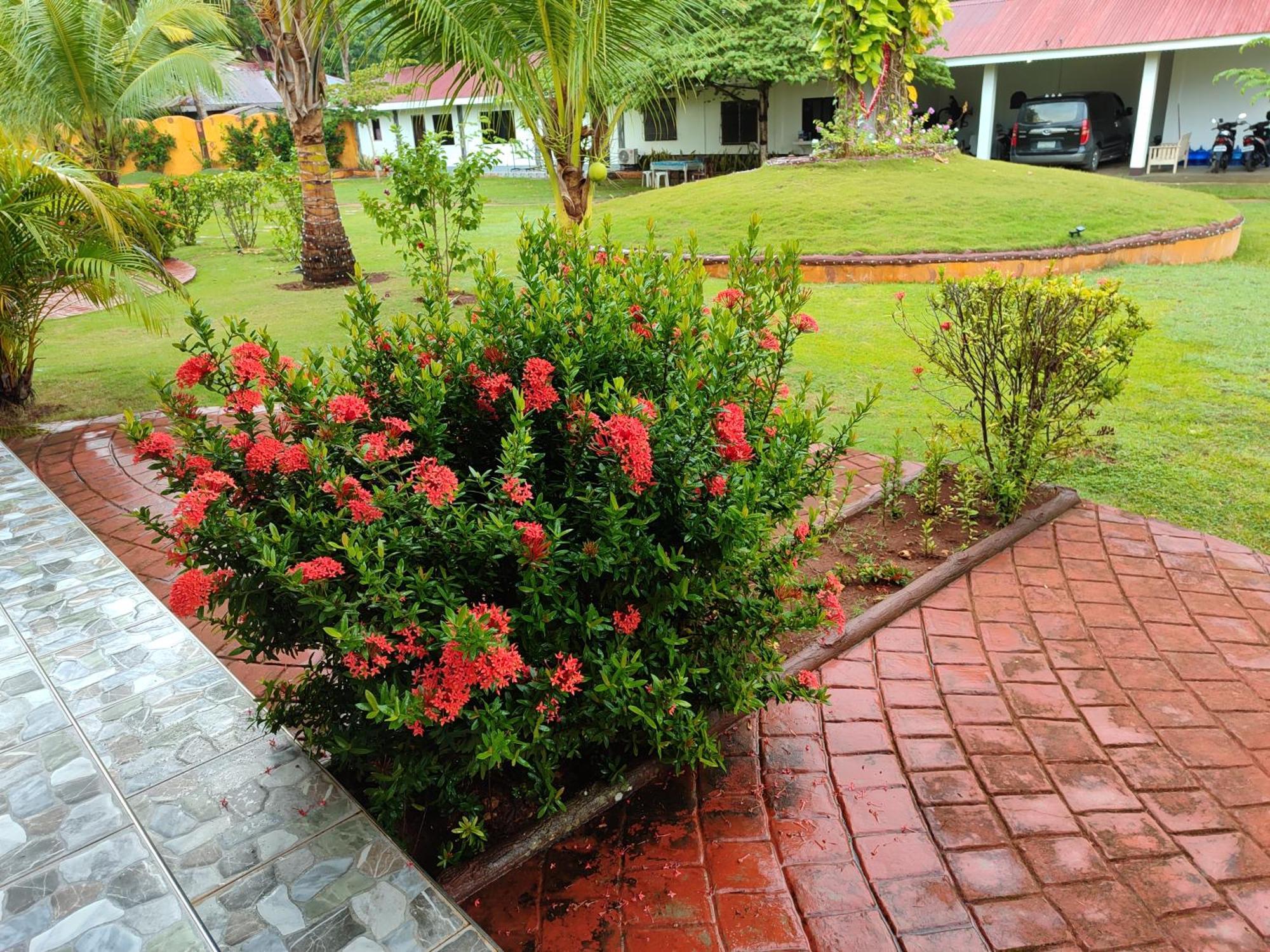 E&N Paradise Island Resort Siquijor Rom bilde